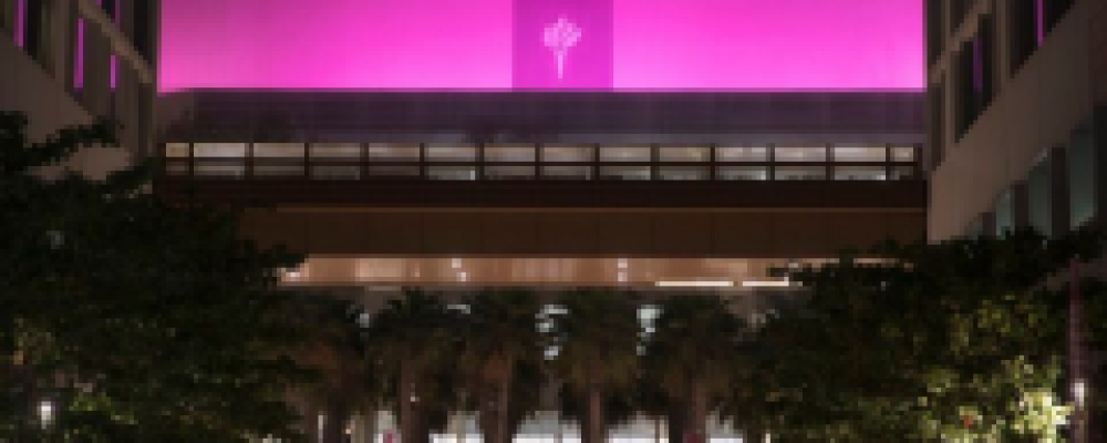 NYU Abu Dhabi Begins Its Fifth Annual Breast Health Awareness Campaign