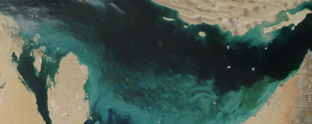 NYU Abu Dhabi Scientists Uncover The Genomic Differences Of Marine And Freshwater Microalgae In A Large-Scale Sequencing Project