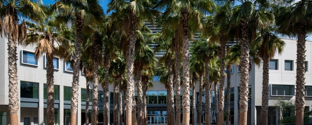 NYU Abu Dhabi Renews Ripple Grant For Blockchain Research