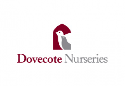 Dovecote Nursery Jumeirah