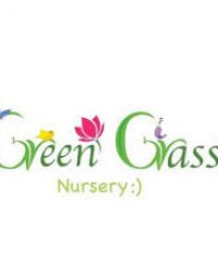 Green Grass Nursery