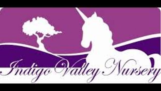 Indigo Valley Nursery