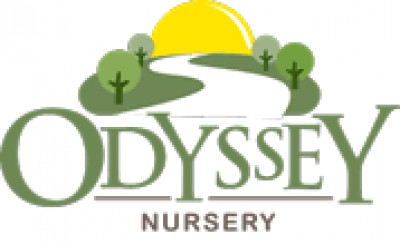 Odyssey Nursery